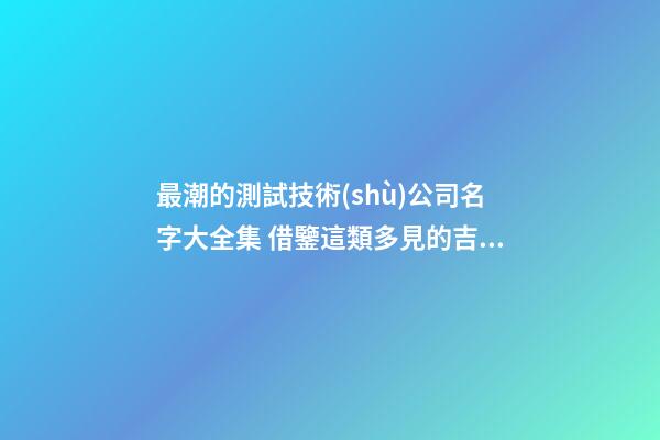 最潮的測試技術(shù)公司名字大全集 借鑒這類多見的吉名